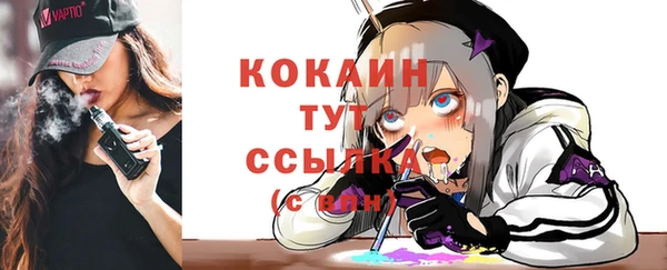 сатива Ельня