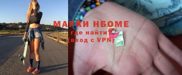 сатива Ельня