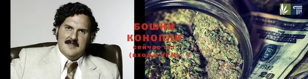 сатива Ельня