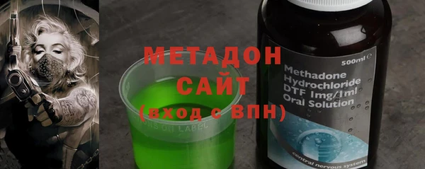 сатива Ельня
