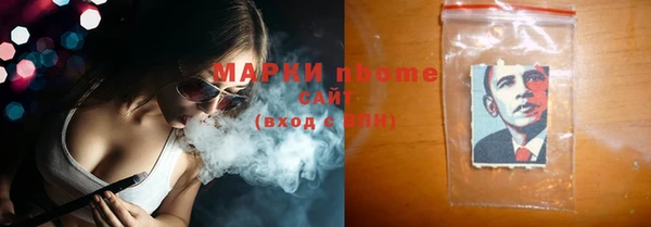 сатива Ельня