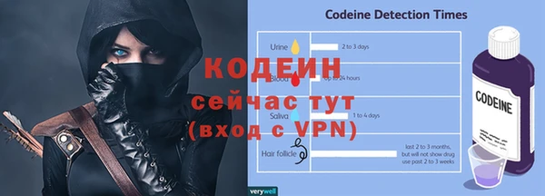 сатива Ельня