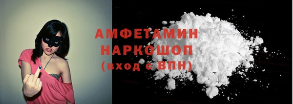 сатива Ельня