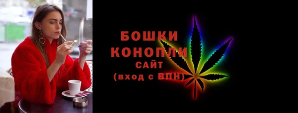 сатива Ельня