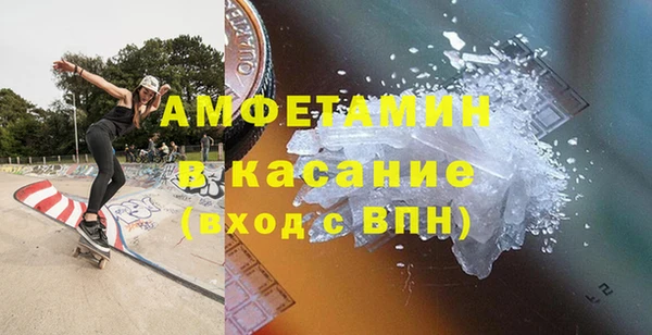 сатива Ельня