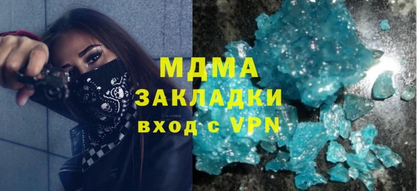 сатива Ельня
