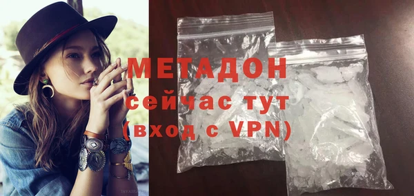 сатива Ельня