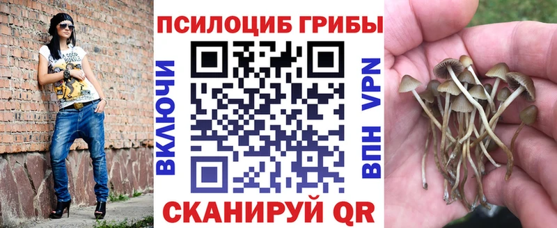 Псилоцибиновые грибы GOLDEN TEACHER  сколько стоит  Пятигорск 